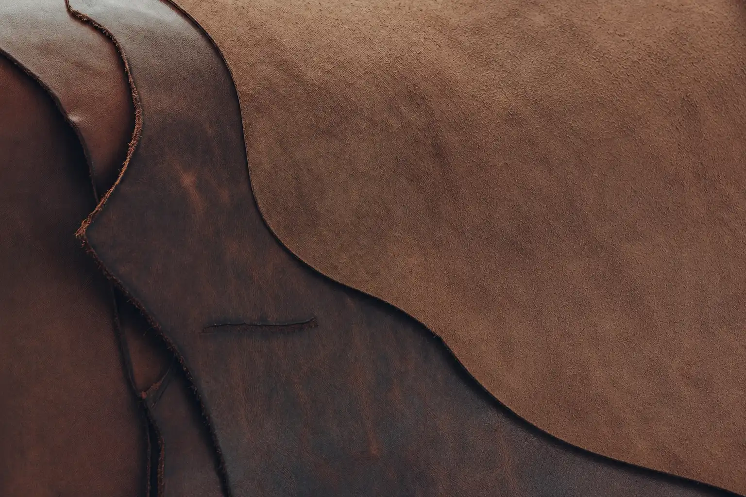Launching a Leather Fashion Brand in 2026